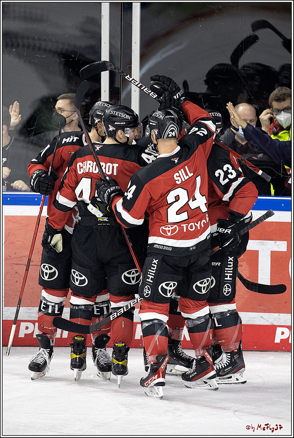 PENNY DEL;  Koelner Haie - Bietigheim Steelers; Koeln, 19.11.2021